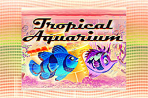 tropical-aquarium